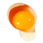 jaune d’œuf