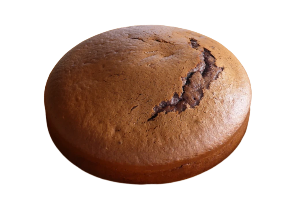 Gâteau Moelleux au Chocolat et au Lait Concentré Sucré