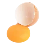 jaune d’œuf