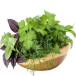 Herbes aromatiques