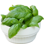 de basilic frais